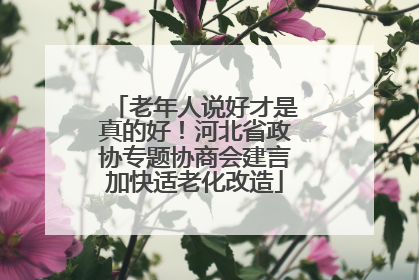 老年人说好才是真的好！河北省政协专题协商会建言加快适老化改造